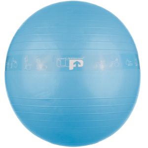 Ultimate Performance Gym Ball 55cm