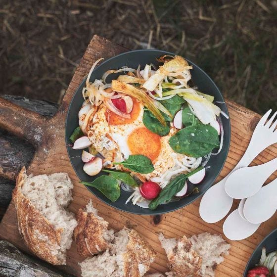 Light My Fire Ramen Plate Sage Green