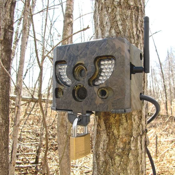 SpyPoint SB-T Security Box Camo
